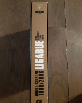 Ligabue 2006