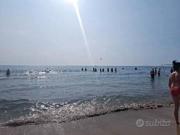 Last minute di agosto 26/01