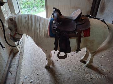 Pony