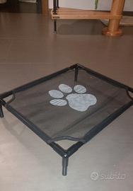 Brandina x gatto  / cane