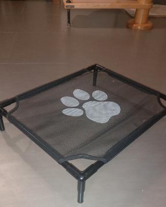 Brandina x gatto  / cane