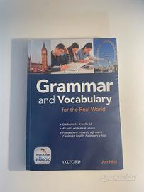 Grammar and Vocabulary for the Real World