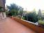 Immagine 15
