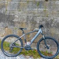 ebike