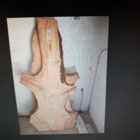 tavole in rovere o olmò