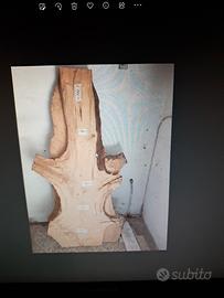 tavole in rovere o olmò
