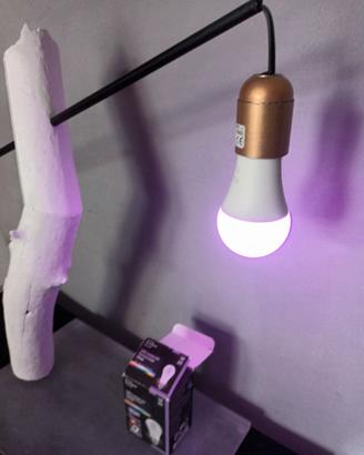 Lampada  LED multicolor con telecomando 