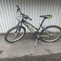 Mountain bike