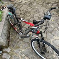 mountainbike Vector athos ammortizzatori