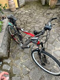 mountainbike Vector athos ammortizzatori