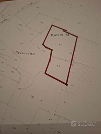 Vigneto 8.50 euro mq