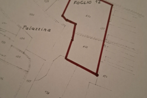 Vigneto 8.50 euro mq