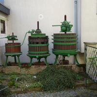 Torchio Vinario uva/vendemmia/vino