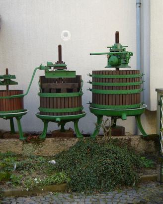 Torchio Vinario uva/vendemmia/vino