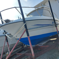 Pilotina prezzo ribassato