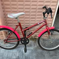 Bicicletta da donna