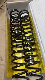 Molla per forcella moto cross