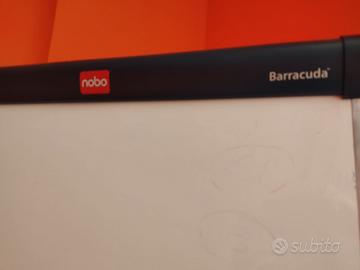 Lavagna magnetica NOBO modello Barracuda
