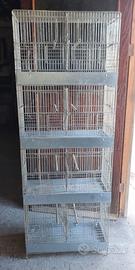 Gabbia per volatili