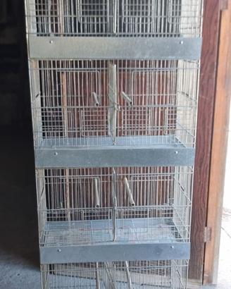 Gabbia per volatili