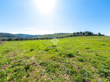 TER. AGRICOLO A VIESTE