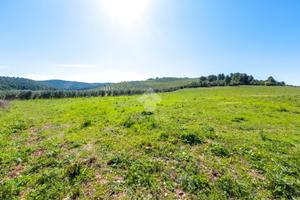 TER. AGRICOLO A VIESTE