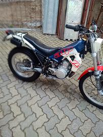 Trial Beta Alp 250