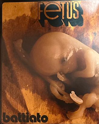 Vinile - Fetus (2009) di Battiato