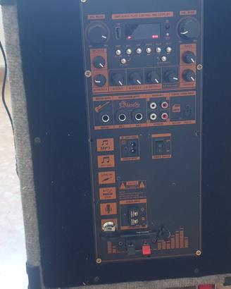 cassa amplificata  a batteria  autocostruita 