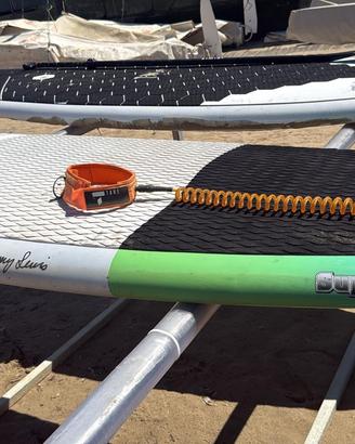 sup wave modello super Frank marca Jimmy lewis