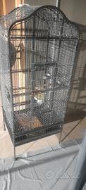 gabbia per piccione 