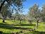 Immagine 29