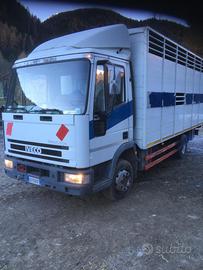 Eurocargo