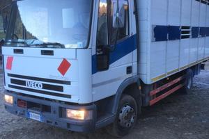 Eurocargo
