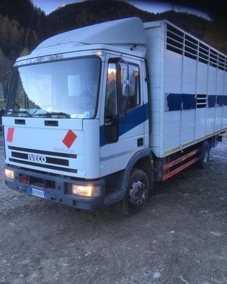 Eurocargo