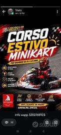 Corso Estivo Minikart