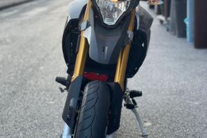 VERDO APRILIA DORSODURO 900
