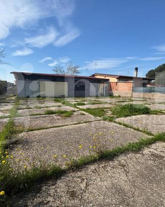 Terreno Residenziale Roma [250Terreno-E.RuppelVCG]