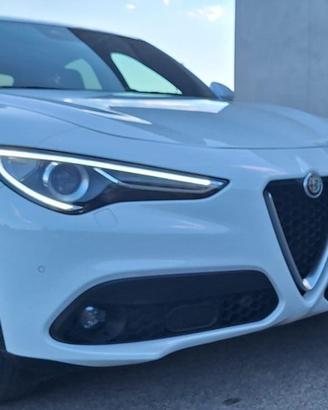 Alfa Romeo Stelvio 2.2 TD 190 CV Q4  AT8 Business