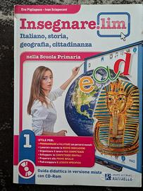 libro insegnare lim