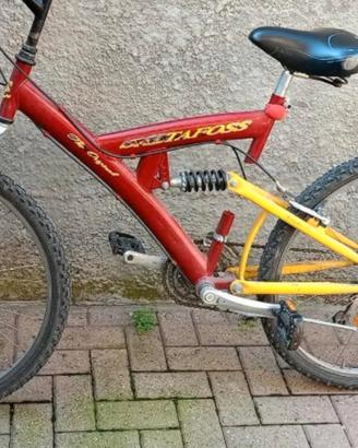 bicicletta mtb