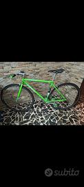 bici Kawasaki 