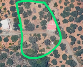 Terreno agricolo