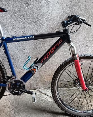 Mountain bike