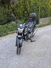 Suzuki Inazuma 250 - 2014