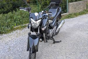 Suzuki Inazuma 250 - 2014