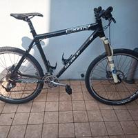 scott scale 26