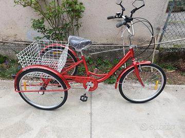 bicicletta tre ruote triciclo