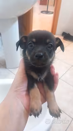 Mix pincher