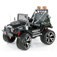 Jeep per peregrine gaucho